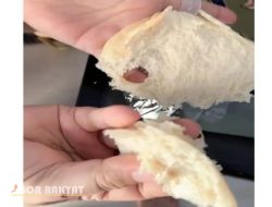 Viral, Penyaluran MBG di SDN Grujugan Lor 01 Bondowoso Dikritik: “Rotinya Penyek, Tidak Mengembang”