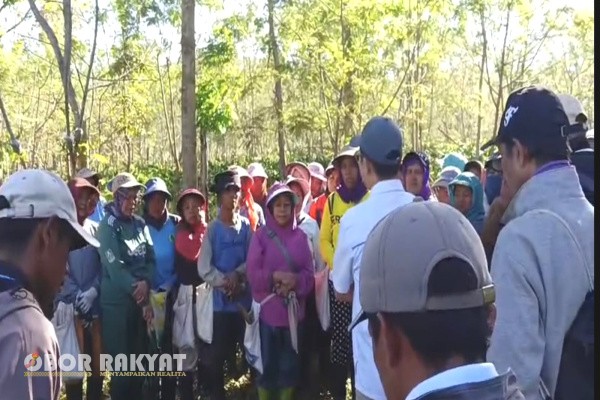 Bondowoso, Obor Rakyat – Aksi penebangan liar dan pengrusakan lahan kembali terjadi di kawasan kebun kopi Kali Gedang, Kecamatan Ijen, Kabupaten Bondowoso. Peristiwa ini menambah panjang deretan kasus serupa yang telah terjadi dalam tiga tahun terakhir di lahan produktif milik PTPN I Regional 5.