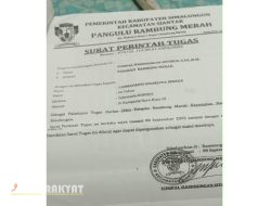 Penunjukan Plt Gamot di Rambung Merah Dikecam, Diduga Langgar Permendagri