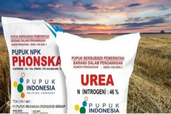Bondowoso, Obor Rakyat – Dalam upaya memperkuat pengawasan dan kepatuhan terhadap aturan pemerintah, distributor dan kios pupuk di wilayah Kecamatan Klabang, Kabupaten Bondowoso, menggelar rapat koordinasi (rakor) membahas penerapan Harga Eceran Tertinggi (HET) pupuk bersubsidi.