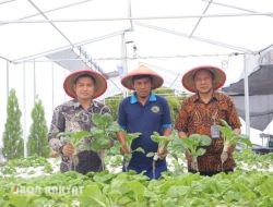 Lapas Kelas I Tangerang Panen Pakcoy Hidroponik, Wujud Nyata Dukungan terhadap Ketahanan Pangan Nasional