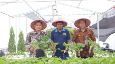 Lapas Kelas I Tangerang Panen Pakcoy Hidroponik, Wujud Nyata Dukungan terhadap Ketahanan Pangan Nasional