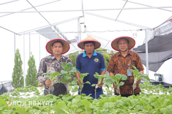 Tangerang, Obor Rakyat — Suasana hijau dan produktif tampak di Lembaga Pemasyarakatan (Lapas) Kelas I Tangerang saat para warga binaan bersama petugas melakukan panen sayur pakcoy hidroponik, Jumat (24/10)2025).