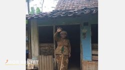 Mbah Maswa, Lansia di Bondowoso Hidup Sebatang Kara dalam Rumah Nyaris Roboh