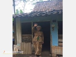 Mbah Maswa, Lansia di Bondowoso Hidup Sebatang Kara dalam Rumah Nyaris Roboh