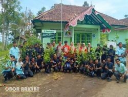 Perhutani KPH Bondowoso Dukung Penghijauan Sekolah, Serahkan Bibit Pohon ke SMAN 2 Situbondo