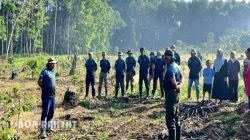 Perhutani KPH Bondowoso Ajak Siswa SMAN 2 Situbondo Tanam 1.000 Bibit Pinus, Wujudkan Generasi Peduli Lingkungan