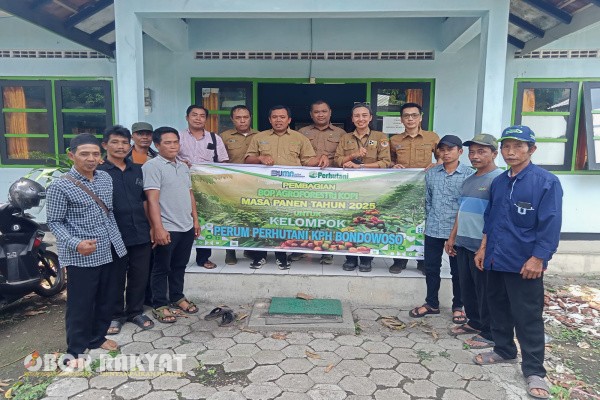 Bondowoso, Obor Rakyat – Perum Perhutani Kesatuan Pemangkuan Hutan (KPH) Bondowoso menyalurkan insentif kepada para mitra kerja sebagai bentuk apresiasi atas kontribusi mereka dalam mendukung optimalisasi produksi agroforestry kopi pada masa panen tahun 2025. Penyerahan insentif dilaksanakan pada 12 November di masing-masing Bagian Kesatuan Pemangkuan Hutan (BKPH) yang memiliki kegiatan produksi kopi.