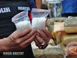 LSM ELANG MAS Dukung Penuh Pemko Pematangsiantar, TNI-Polri, dan BNNK Percepat Pemberantasan Narkoba