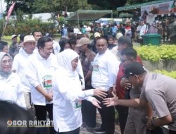 Jawa Timur Canangkan Gerakan Serentak IB 2025 di Jember: Gubernur Khofifah Targetkan Swasembada Daging Nasional