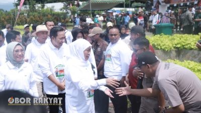 Jawa Timur Canangkan Gerakan Serentak IB 2025 di Jember: Gubernur Khofifah Targetkan Swasembada Daging Nasional