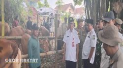 Disnakkan Bondowoso Targetkan 600 Sapi Rampung pada 2025, Pemulihan Peternakan Dipacu Lewat Suntik Massal
