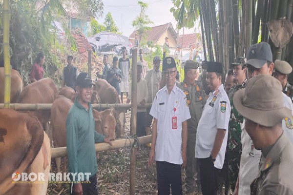 Bondowoso, Obor Rakyat – Pemerintah Kabupaten (Pemkab) Bondowoso terus mempercepat pemulihan sektor peternakan pasca terdampak wabah Penyakit Mulut dan Kuku (PMK). Upaya tersebut diwujudkan melalui kegiatan suntik massal ternak yang digelar di berbagai titik, termasuk di Kecamatan Sumber Wringin, Rabu (26/11/2025).