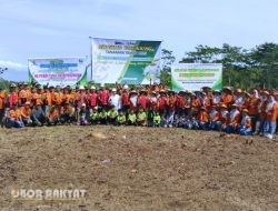 Perhutani KPH Bondowoso Mulai Ground Breaking Penanaman