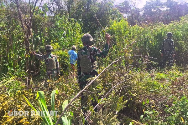 Papua Pegunungan, Obor Rakyat – Personel Satgas Pamtas RI-PNG Kewilayahan Yonif 521/DY bersama masyarakat Eragayam, Mamberamo Tengah, Papua Pegunungan, melaksanakan kegiatan gotong royong membersihkan lahan tidur yang dinilai potensial untuk dijadikan areal perkebunan sayur mayur dan tanaman pangan lainnya, Minggu (30/11/2025).