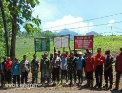 Perhutani KPH Bondowoso Gelar Penanaman Bersama, Perkuat Komitmen Penghijauan di Musim Hujan