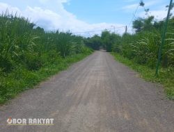 Pemdes Palangan Situbondo Genjot Pembangunan Infrastruktur, Rehabilitasi Jalan Tingkatkan Akses Ekonomi Warga