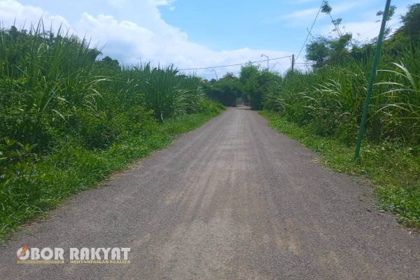 Situbondo, Obor Rakyat – Pemerintah Desa (Pemdes) Palangan, Kecamatan Jangkar, Kabupaten Situbondo, Jawa Timur terus berkomitmen meningkatkan sarana dan prasarana demi mendukung aktivitas perekonomian masyarakat. Salah satu upaya yang dilakukan adalah merehabilitasi jalan di Dusun Palangan Timur melalui pengerjaan pelapisan (lapen).