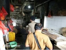 Satpol PP DKI Jakarta Tindak Rumah Makan dan Tempat Potong Anjing Ilegal di Cililitan