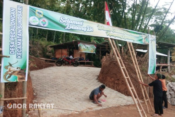 Bondowoso, Obor Rakyat – Desa Pecalongan, Kecamatan Sukosari, Kabupaten Bondowoso, Jawa Timur, kini memiliki destinasi wisata baru berbasis edukasi peternakan kambing yang dikelola oleh BUMDes Lestari Jaya.