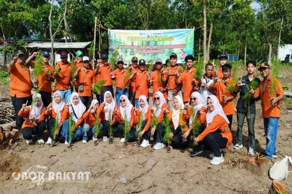 Bondowoso, Obor Rakyat – Perum Perhutani Kesatuan Pemangkuan Hutan (KPH) Bondowoso terus memperkuat komitmennya dalam pelestarian lingkungan melalui kegiatan Penanaman Tanaman Pembangunan Tahun 2025. Program ini menjadi langkah strategis untuk mempercepat rehabilitasi kawasan hutan sekaligus meningkatkan tutupan vegetasi sebagai penyangga ekosistem dan pengendali degradasi lingkungan.