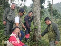 Perhutani KPH Bondowoso Laporkan Dugaan Perusakan Tegakan Hutan Mahoni ke Polres Situbondo