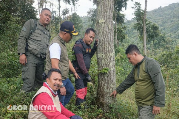 Situbondo, Obor Rakyat – Perum Perhutani Kesatuan Pemangkuan Hutan (KPH) Bondowoso menindaklanjuti secara serius temuan dugaan pengrusakan tegakan hutan di wilayah kerjanya.