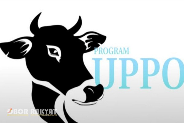 Bondowoso, Obor Rakyat – Pemerintah Desa (Pemdes) Kabuaran, Kecamatan Grujugan, Kabupaten Bondowoso, Jawa Timur, mendapat apresiasi dari Pemerintah Kecamatan Grujugan atas kinerja pengelolaan pembangunan dan keuangan desa yang dinilai transparan, akuntabel, serta konsisten tepat waktu.