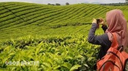 Forum Peduli Simalungun Jakarta Desak PTPN IV Klarifikasi Video Dugaan Penistaan, Minta Putra Daerah Duduki Jabatan Strategis