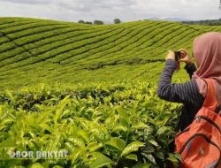 Forum Peduli Simalungun Jakarta Desak PTPN IV Klarifikasi Video Dugaan Penistaan, Minta Putra Daerah Duduki Jabatan Strategis