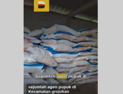 Viral di TikTok, Harga Pupuk Subsidi di Kecamatan Grujugan Bondowoso Diduga Melebihi HET