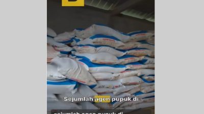 Viral di TikTok, Harga Pupuk Subsidi di Kecamatan Grujugan Bondowoso Diduga Melebihi HET