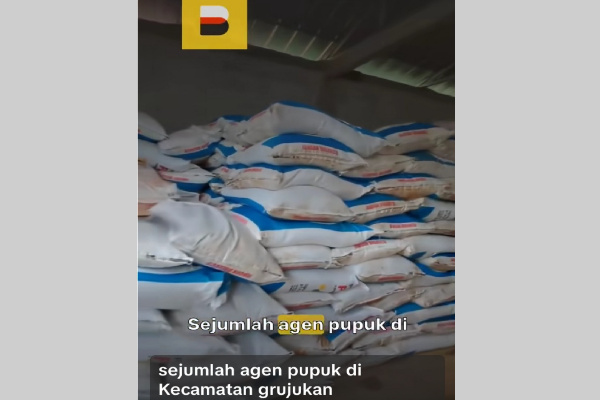 Bondowoso, Obor Rakyat – Dugaan penjualan pupuk subsidi di atas Harga Eceran Tertinggi (HET) kembali meresahkan masyarakat Kabupaten Bondowoso. Kali ini, keluhan warga di sejumlah desa di Kecamatan Grujugan viral di media sosial TikTok setelah diunggah oleh akun BondowosoNews.