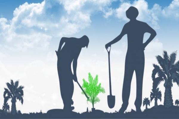 Simalungun, Obor Rakyat – Sejumlah warga Kecamatan Silau Kahean, Kabupaten Simalungun, Provinsi Sumatera Utara, mengaku kecewa dan merasa dirugikan terkait Program Peremajaan Sawit Rakyat (PSR) yang bersumber dari bantuan pemerintah. Warga menilai program tersebut tidak berjalan transparan dan dana yang dijanjikan hingga kini belum mereka terima.