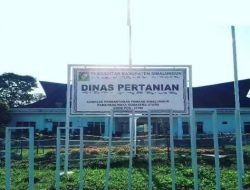 Diduga Terlibat Penyelewengan Pupuk Subsidi, Oknum PPPK di Silau Kahean Jadi Sorotan Warga