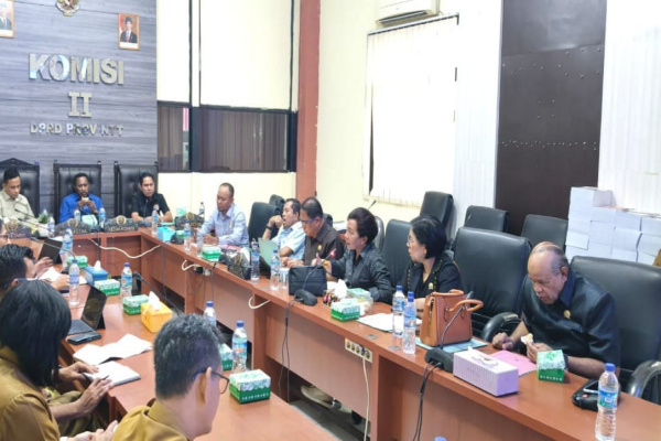 Manggarai, Obor Rakyat – Anggota DPRD Provinsi Nusa Tenggara Timur (NTT) Komisi II, Osy Gandut, mendesak percepatan distribusi vaksin African Swine Fever (ASF) ke wilayah Manggarai Raya. Desakan ini menyusul masih maraknya wabah ASF yang menghantam peternak babi dan berdampak serius pada perekonomian masyarakat setempat.
