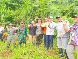 Perhutani KPH Bondowoso Dukung Penanaman 2.000 Pohon di DAS Gunung Sari untuk Perkuat Ketahanan Lingkungan