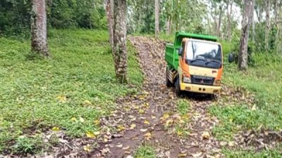 Proyek Jalan Bontor–Santak Terlambat, PUPR Ngada Beri Adendum 50 Hari karena Cuaca dan BBM