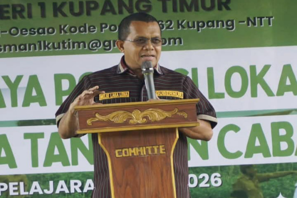 Kupang, Obor Rakyat – Gubernur Provinsi Nusa Tenggara Timur (NTT), Melki Laka Lena, menghadiri kegiatan Panen Perdana Lombok di SMA Negeri 1 Kupang Timur, Kabupaten Kupang, Jumat (23/1/2026).
