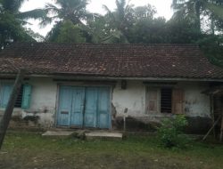 Nenek Kemi Tinggal di Gubuk Nyaris Roboh, Warga dan LSM Desak Pemkab Banyuwangi Segera Turun Tangan