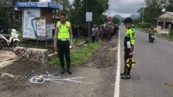 Pejalan Kaki Tewas Ditabrak Pick Up Tanpa Lampu di Jalan Lintas Flores Ngada