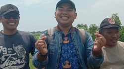 Program Oplah Kementan–PUPR Pulihkan 77,64 Hektare Sawah di Jember, Petani Kembali Tanam Padi