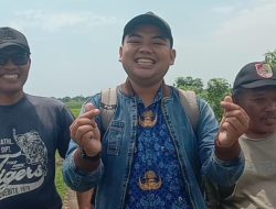 Program Oplah Kementan–PUPR Pulihkan 77,64 Hektare Sawah di Jember, Petani Kembali Tanam Padi