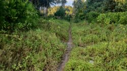 Diduga Dikerjakan Asal Jadi, Proyek Jalan Desa Lahusa Hampir Rp1 Miliar Akan Dilaporkan ke APH