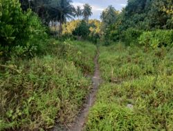 Diduga Dikerjakan Asal Jadi, Proyek Jalan Desa Lahusa Hampir Rp1 Miliar Akan Dilaporkan ke APH