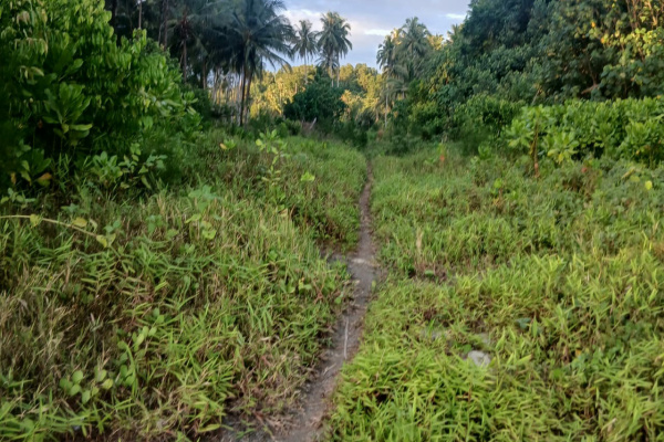 Medan, Obor Rakyat – Proyek pembangunan jalan di Desa Lahusa, Dusun II, Kecamatan Sirombu, Kabupaten Nias Barat, Provinsi Sumatera Utara, yang menelan anggaran hampir Rp1 miliar, diduga dikerjakan tidak sesuai spesifikasi teknis dan merugikan keuangan negara.