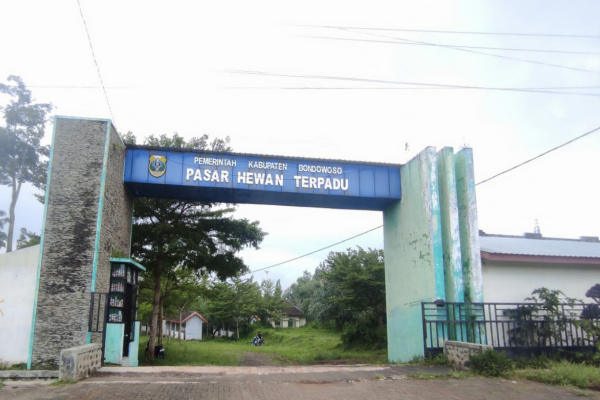 Bondowoso, Obor Rakyat – Pembangunan Pasar Hewan Terpadu di Desa Locare, Kecamatan Curahdami, Bondowoso yang menelan anggaran miliaran rupiah kini menjadi sorotan tajam. Proyek yang digadang-gadang menjadi pusat aktivitas perdagangan ternak itu justru terbengkalai dan tidak difungsikan sebagaimana mestinya.