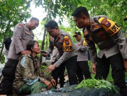 Kapolres Jember Evakuasi Kakek Tuna Wisma Berusia Hampir 100 Tahun dari Hutan Jubung