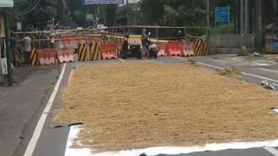 Jalan Mastrip Bondowoso Jadi Tempat Jemur Padi, Dampak Jembatan Sentong Ambrol