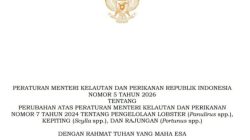 Respon Presiden atas Surel Gus Lilur, KKP Terbitkan Permen KP No. 5 Tahun 2026 Soal Tata Niaga Lobster